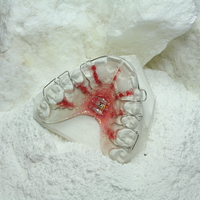 Ortho Plaster - 22,7 kg Karton